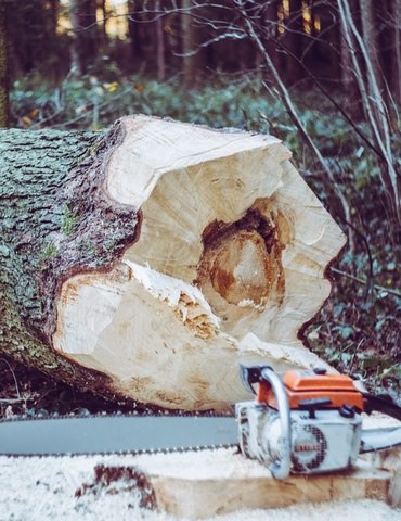 FORESTRY MASCHINERY