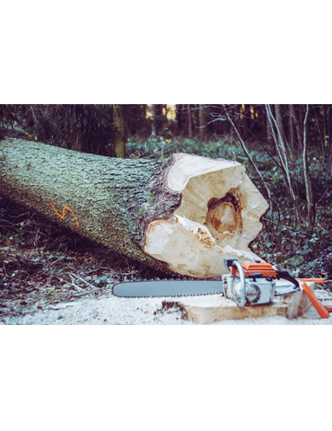 Forestry machinery