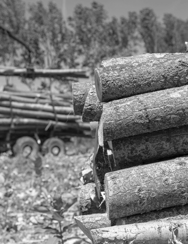Forestry trailers