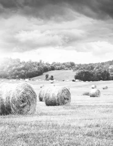 Grassland equipment