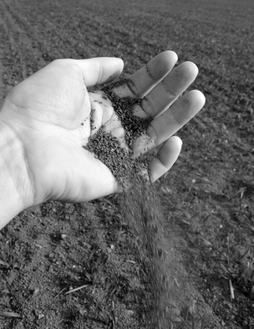 Seeding and Harvesting equipment